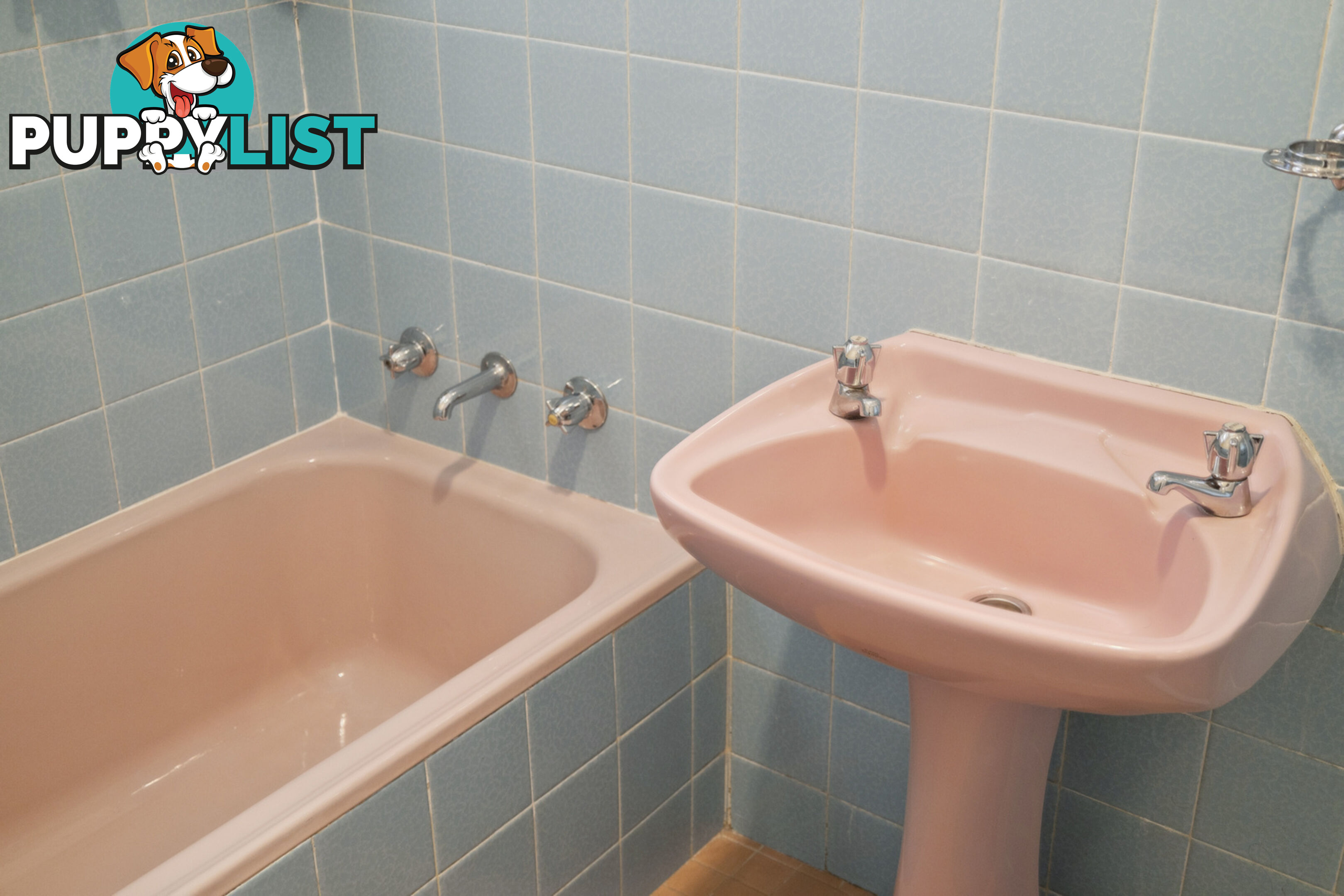6 Stow Place WATSON ACT 2602