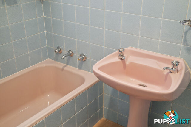 6 Stow Place WATSON ACT 2602