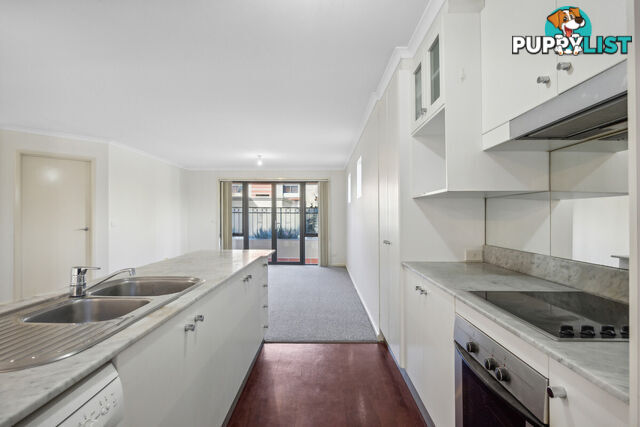 1/30 Watson Street TURNER ACT 2612