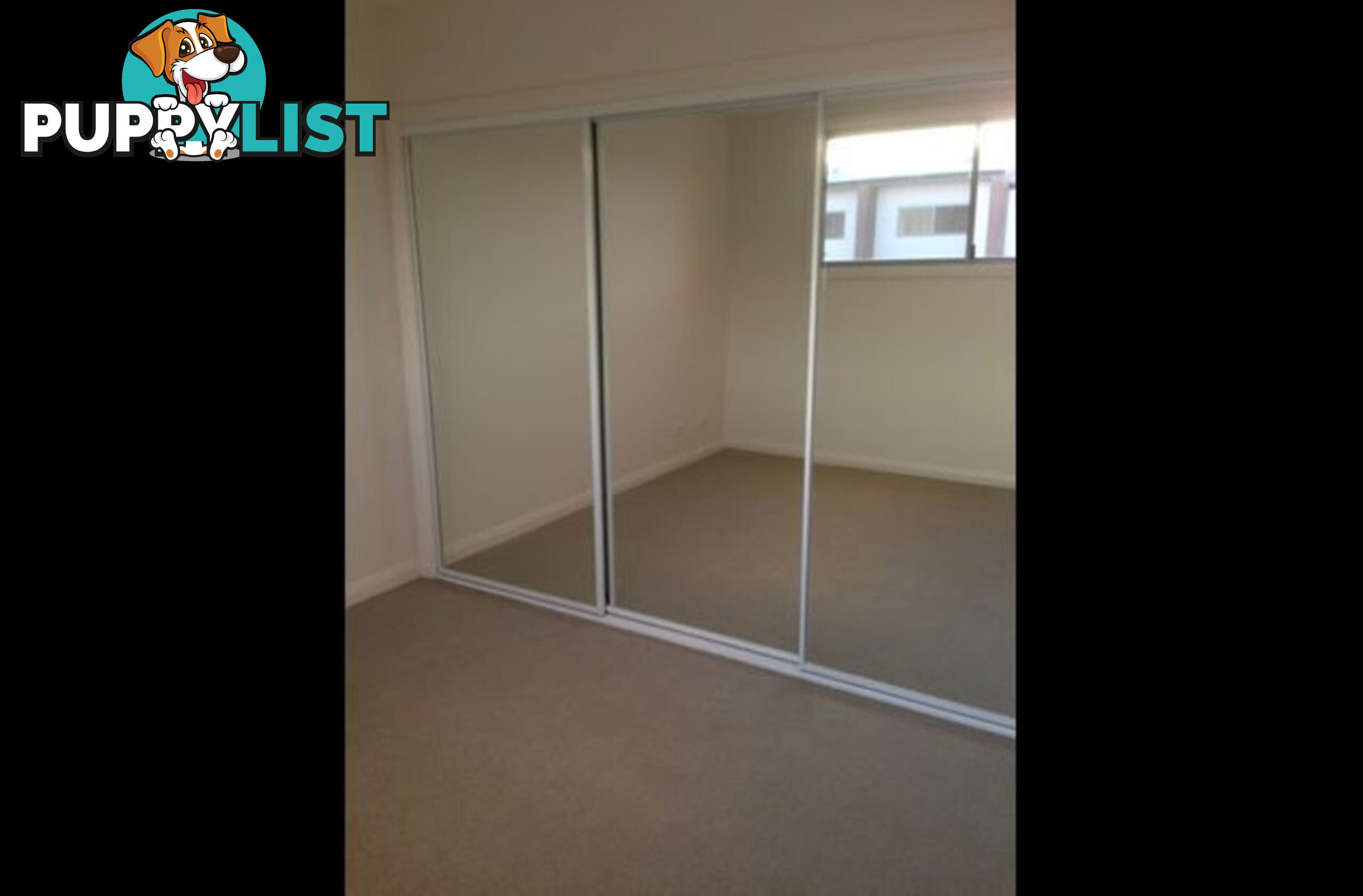 29/297 Flemington Road FRANKLIN ACT 2913