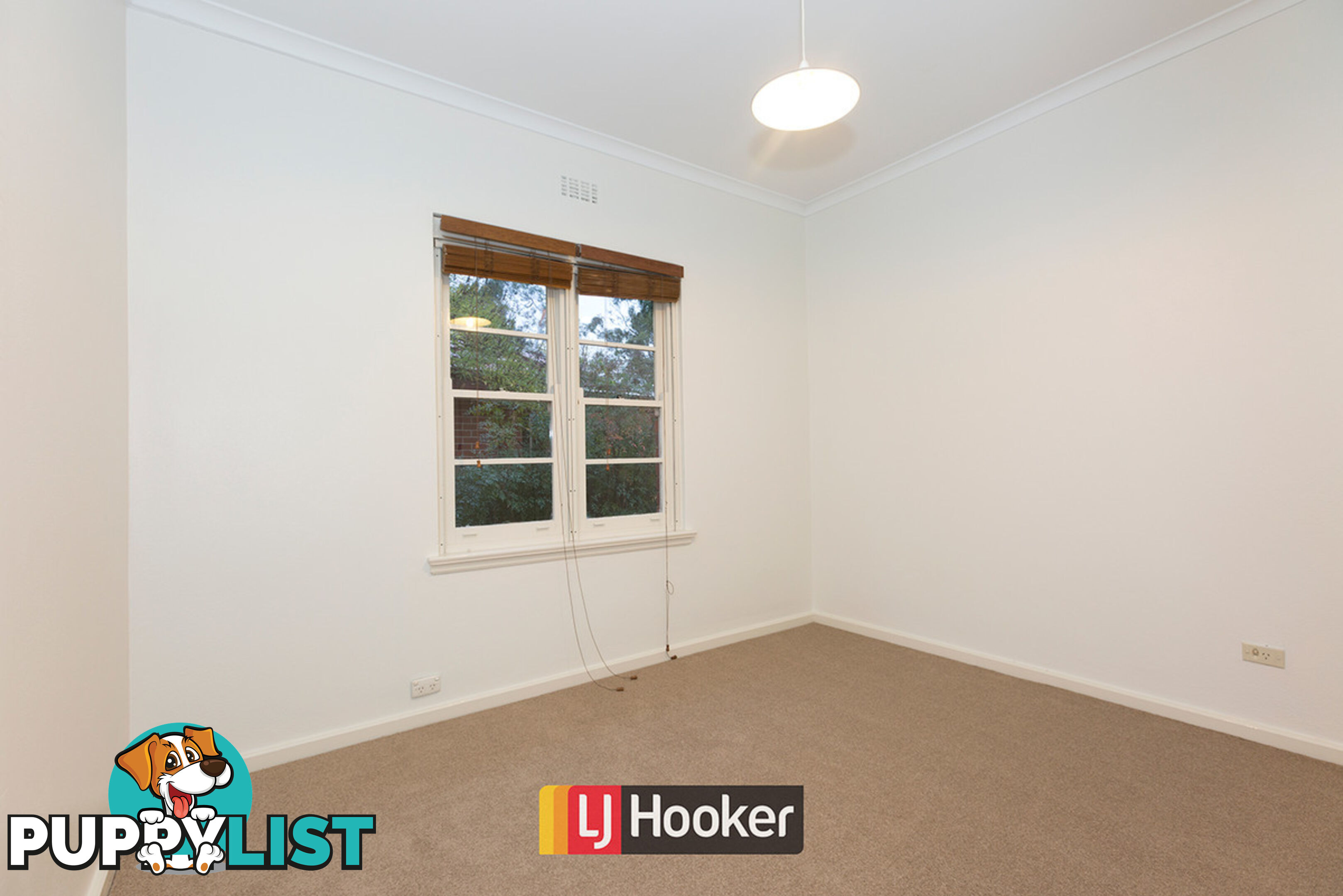 34 Froggatt Street TURNER ACT 2612