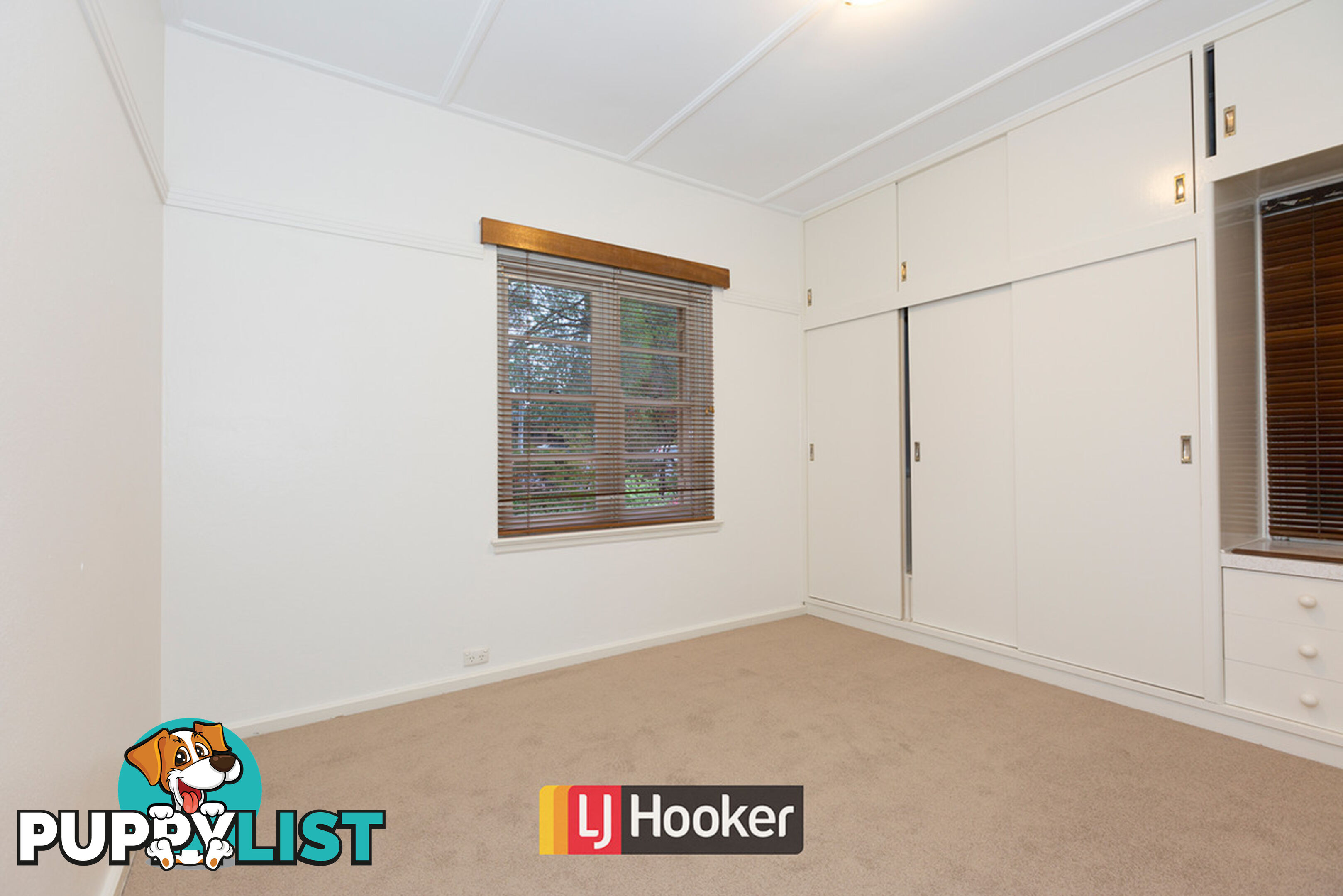 34 Froggatt Street TURNER ACT 2612