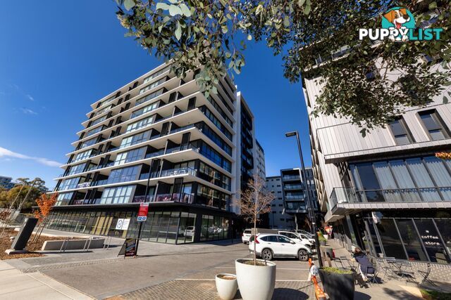 36/122 MacArthur Avenue TURNER ACT 2612