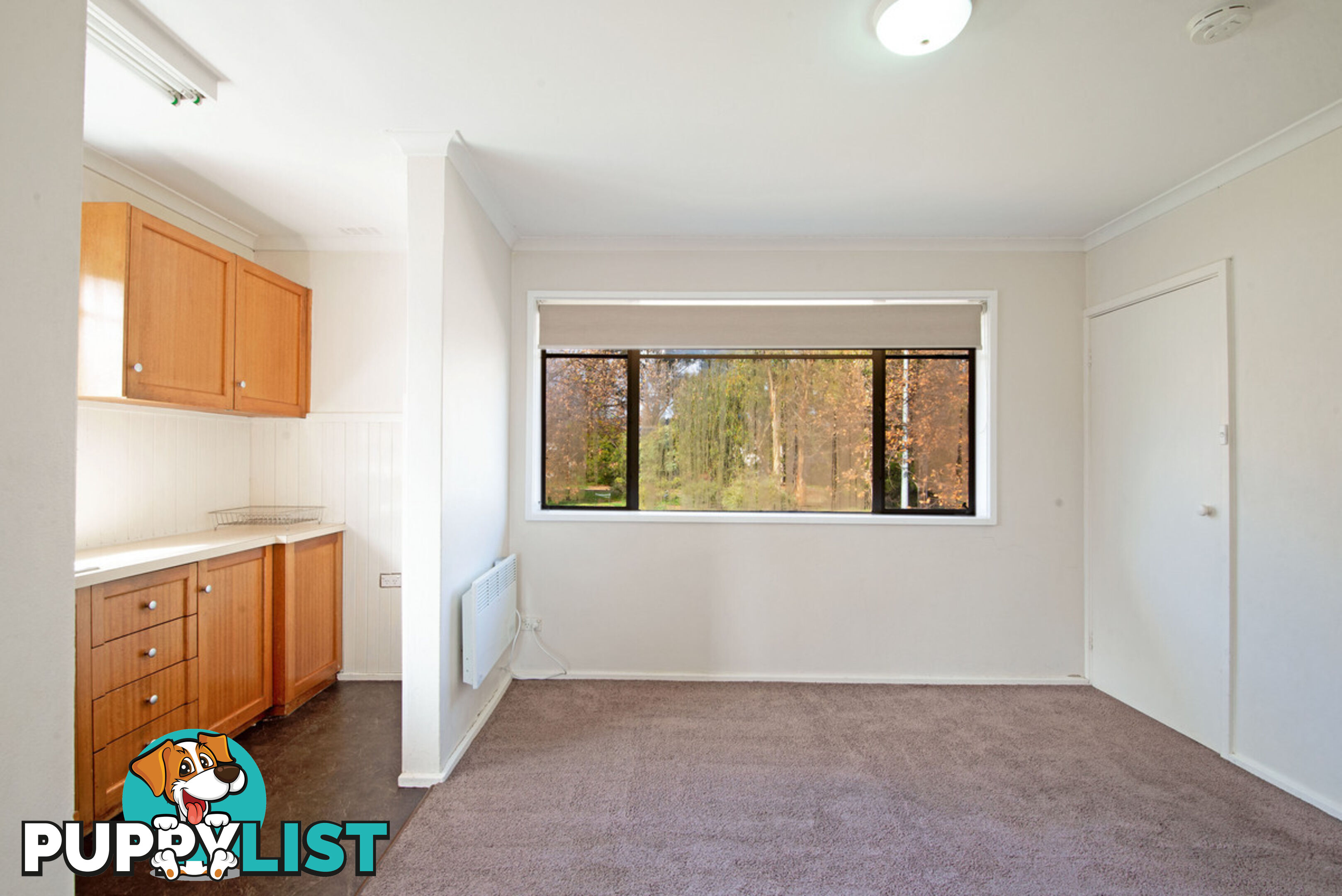 22/257 Antill Street WATSON ACT 2602