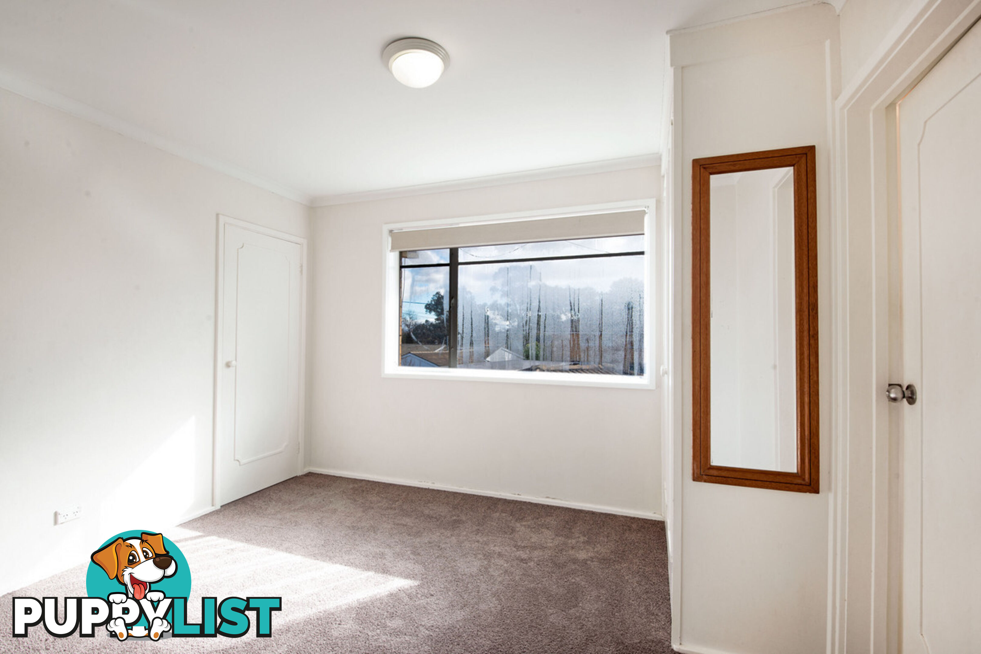 22/257 Antill Street WATSON ACT 2602