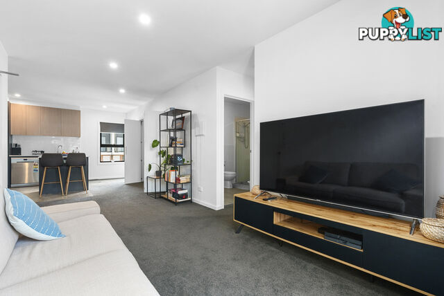 50/11 Hoolihan Street DENMAN PROSPECT ACT 2611