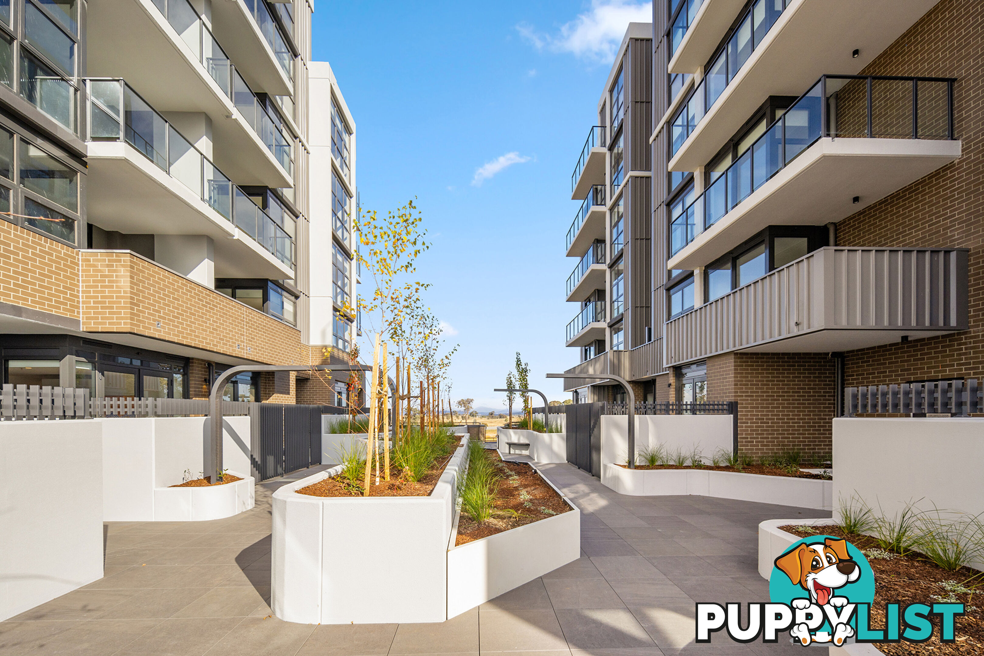 84/70 Efkarpidis Street GUNGAHLIN ACT 2912