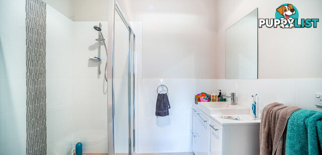 11/22 De Burgh Street LYNEHAM ACT 2602