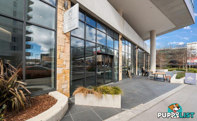 205/2 Batman Street BRADDON ACT 2612
