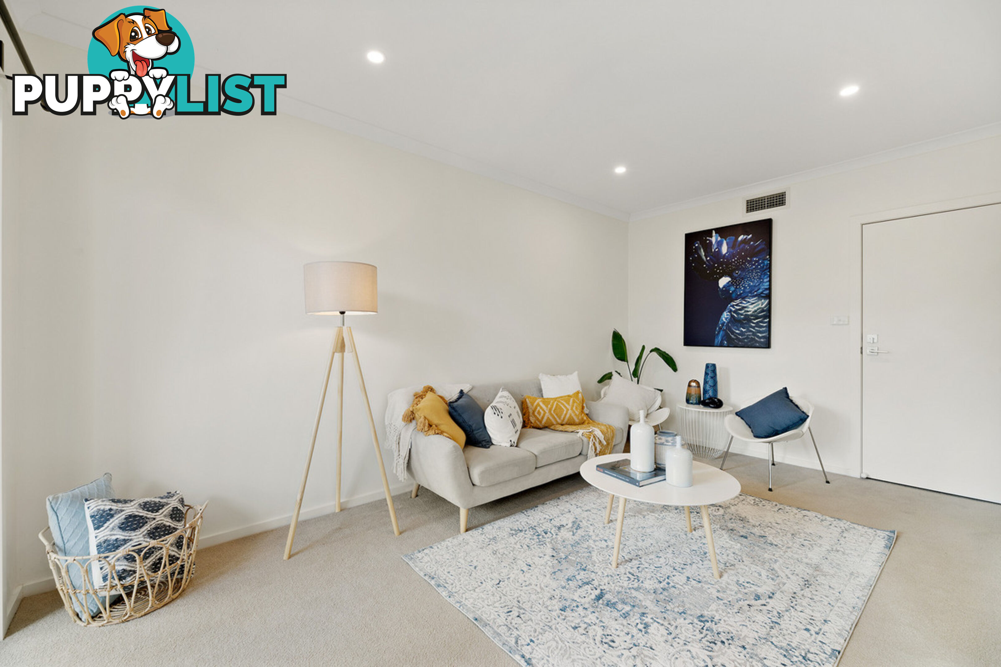 46/224 Flemington Road HARRISON ACT 2914