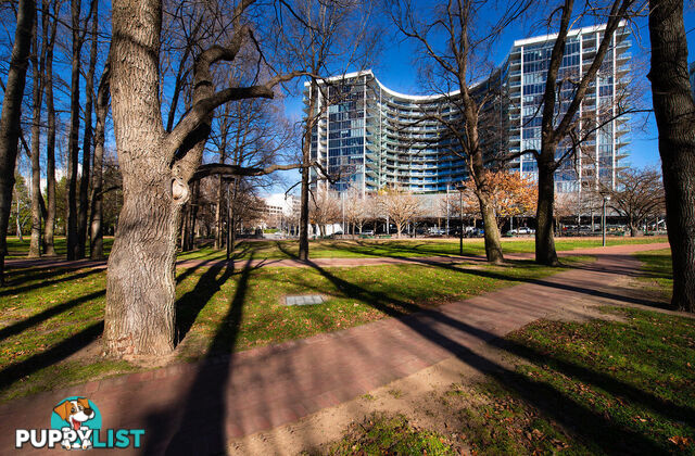 1108/240 Bunda Street CANBERRA ACT 2601