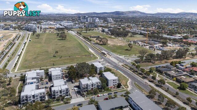 52/75 Elizabeth Jolley Crescent FRANKLIN ACT 2913