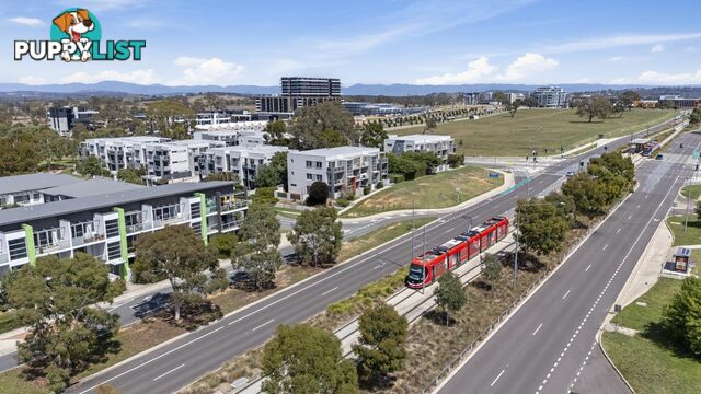 52/75 Elizabeth Jolley Crescent FRANKLIN ACT 2913