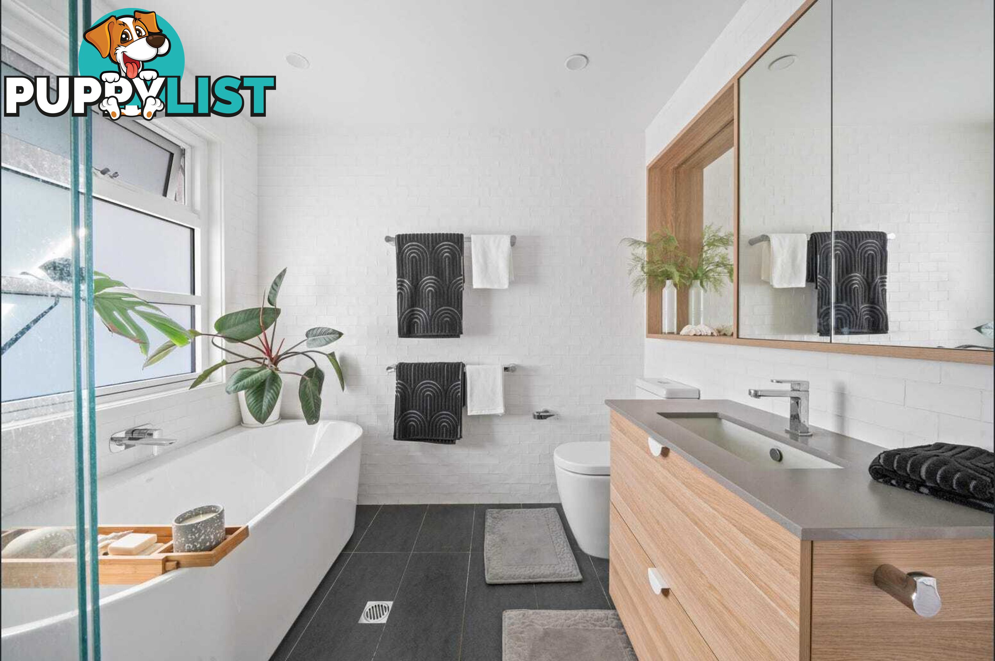 7 Alexandra Street HALL ACT 2618