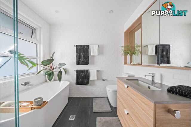 7 Alexandra Street HALL ACT 2618