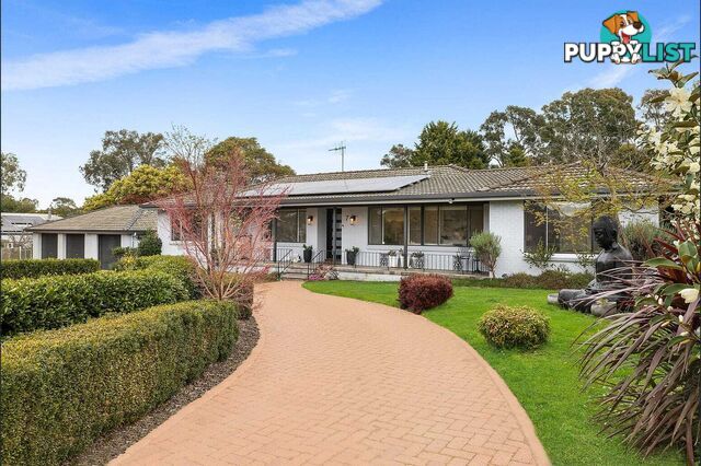 7 Alexandra Street HALL ACT 2618