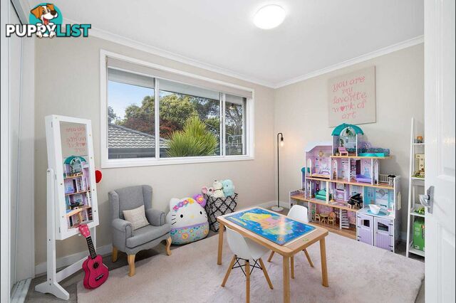 7 Alexandra Street HALL ACT 2618