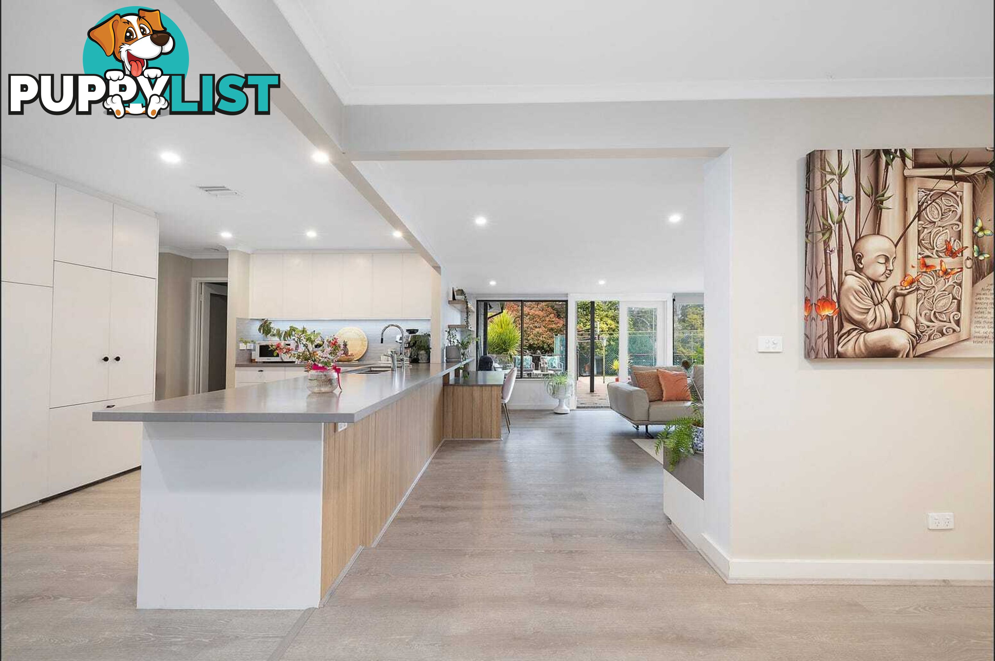 7 Alexandra Street HALL ACT 2618