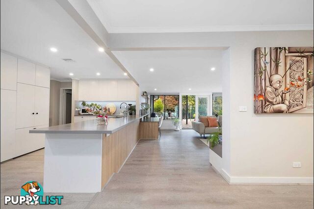 7 Alexandra Street HALL ACT 2618