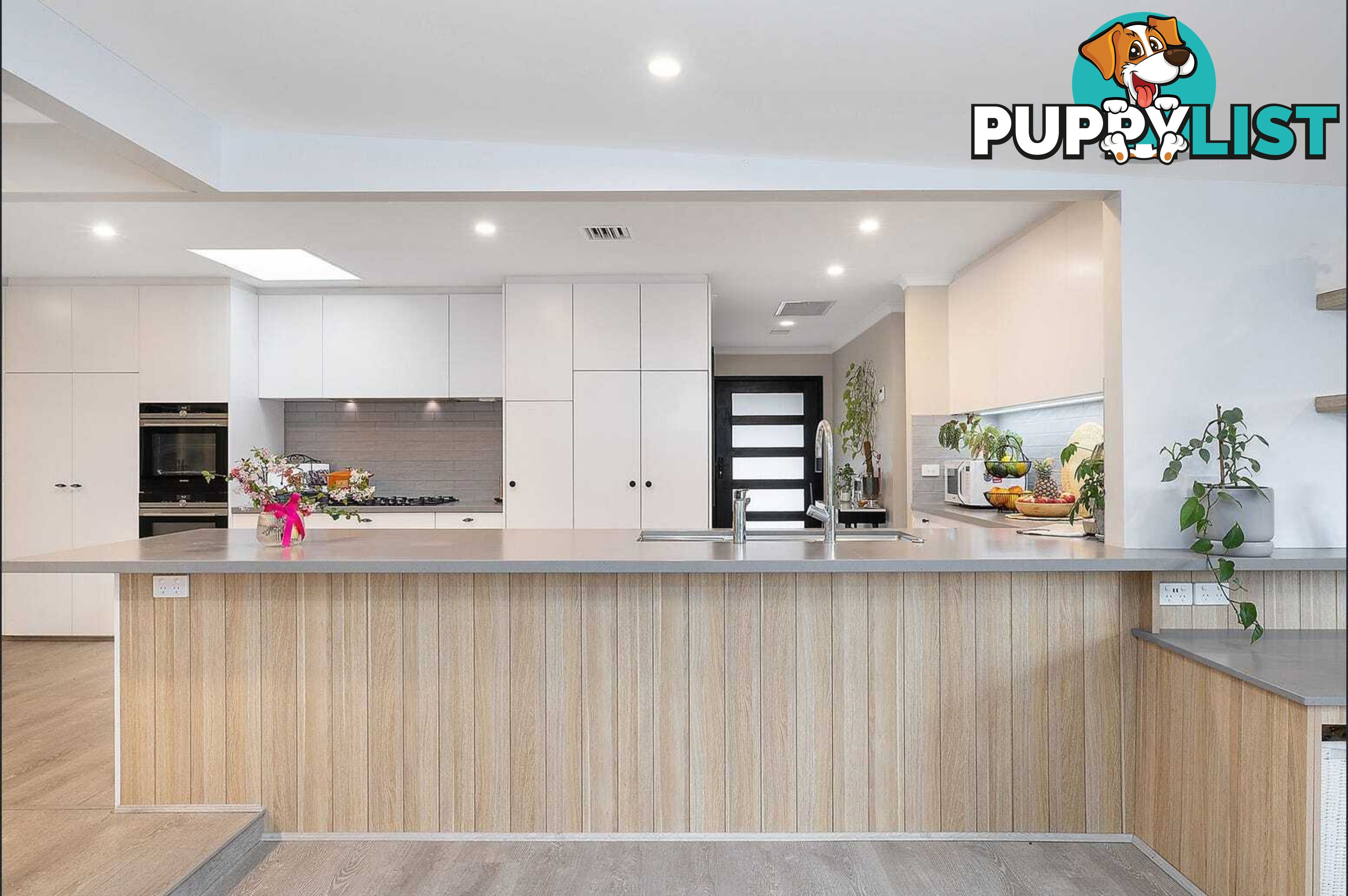 7 Alexandra Street HALL ACT 2618