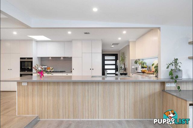 7 Alexandra Street HALL ACT 2618