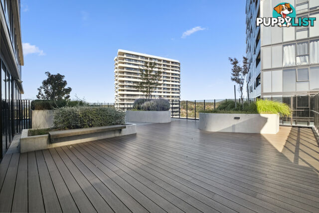 1403/4 Grazier Lane BELCONNEN ACT 2617