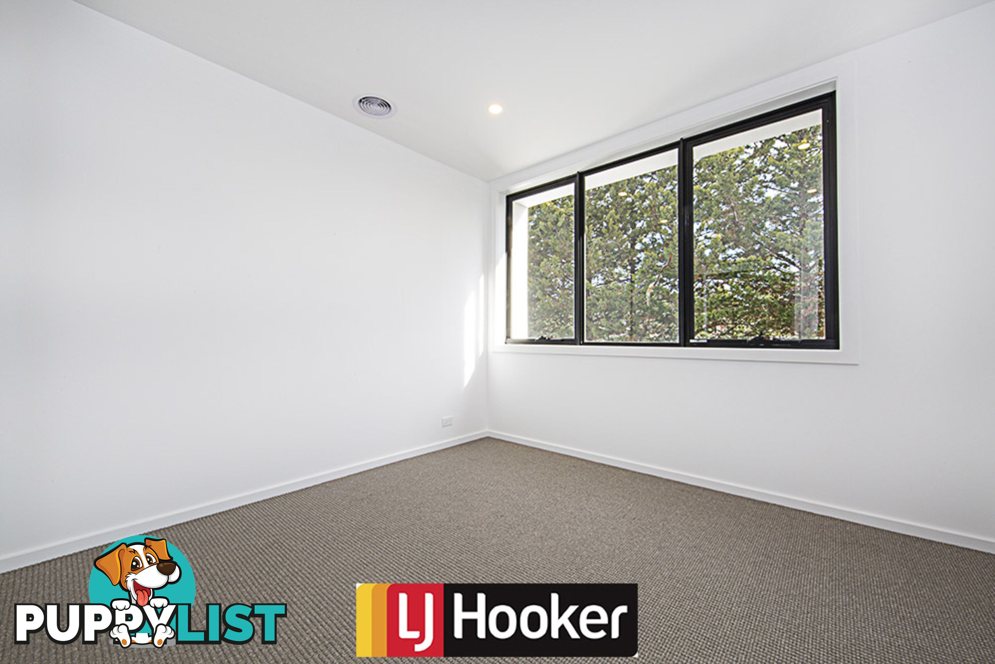 3/8 Holder Street TURNER ACT 2612