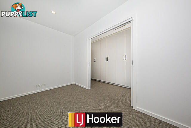 3/8 Holder Street TURNER ACT 2612