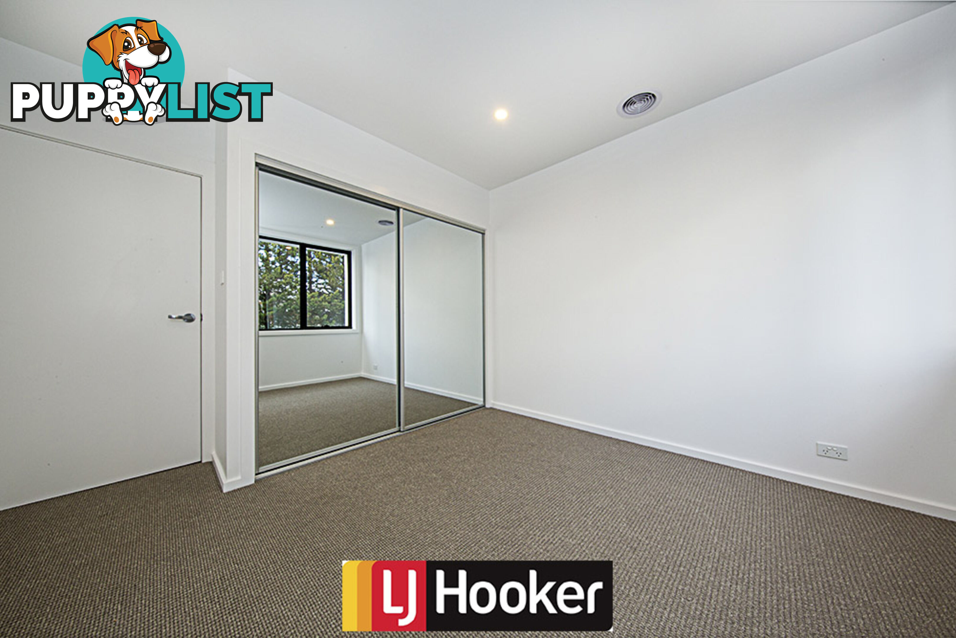 3/8 Holder Street TURNER ACT 2612