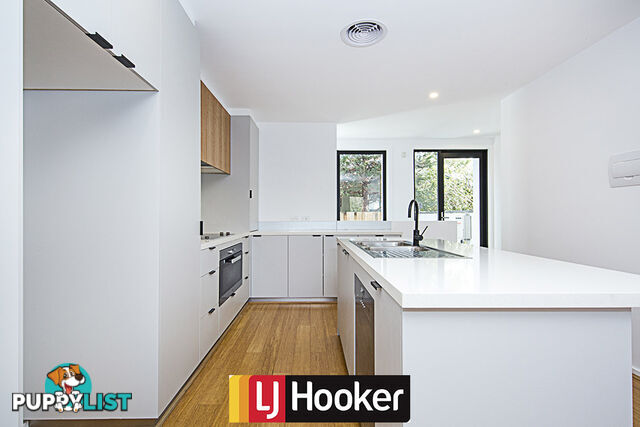 3/8 Holder Street TURNER ACT 2612