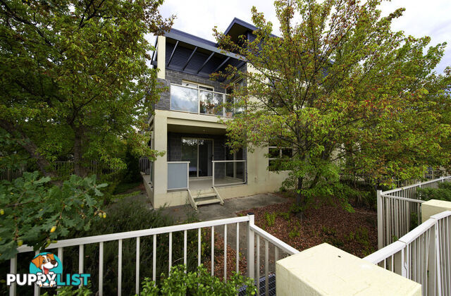 1/13 Burra Place BRADDON ACT 2612