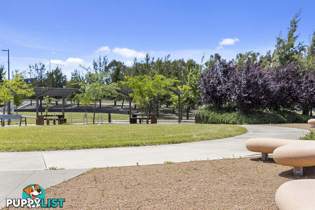 41/97 Woodberry Avenue COOMBS ACT 2611