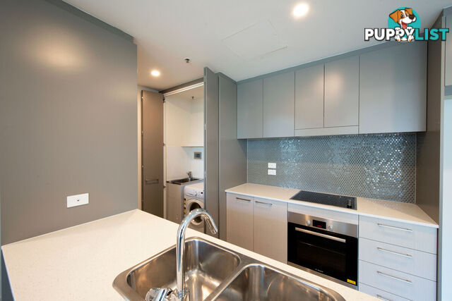 114/7 Irving Street PHILLIP ACT 2606