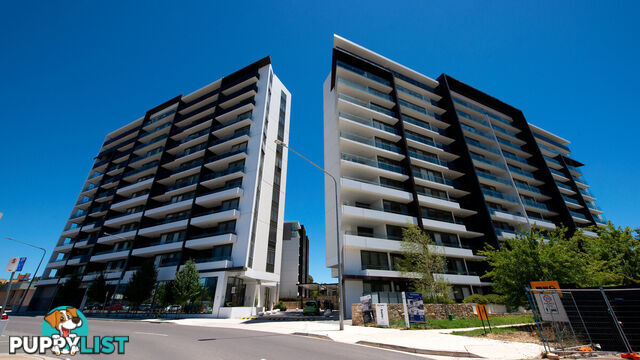 114/7 Irving Street PHILLIP ACT 2606