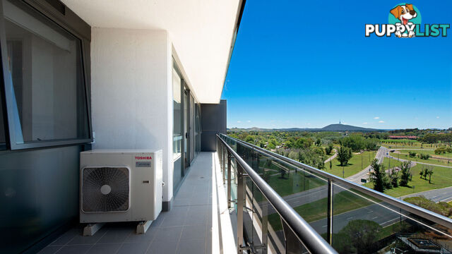 114/7 Irving Street PHILLIP ACT 2606