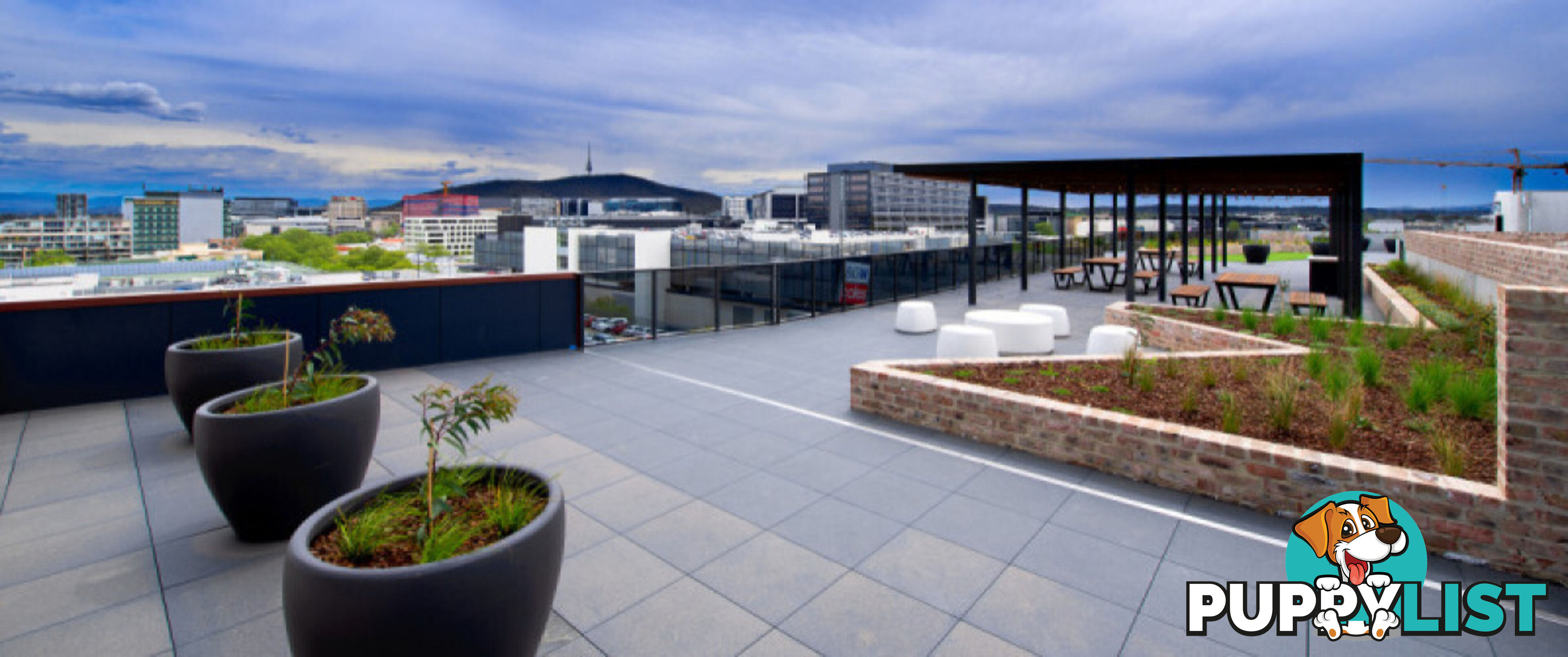 221/45 Ainslie Avenue BRADDON ACT 2612