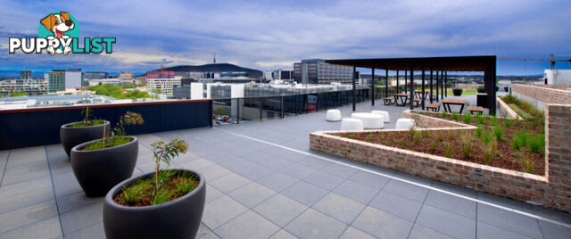221/45 Ainslie Avenue BRADDON ACT 2612