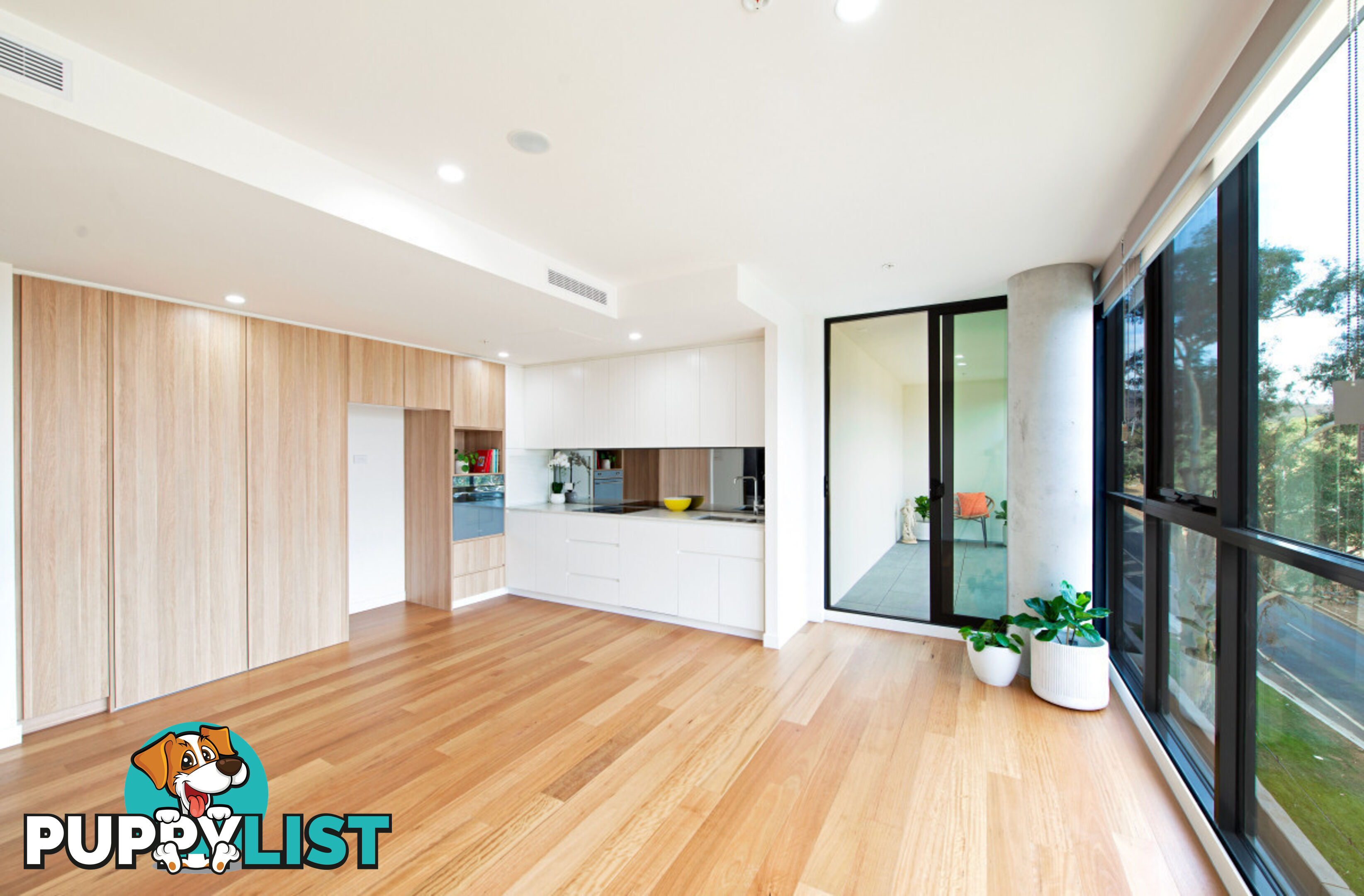 221/45 Ainslie Avenue BRADDON ACT 2612