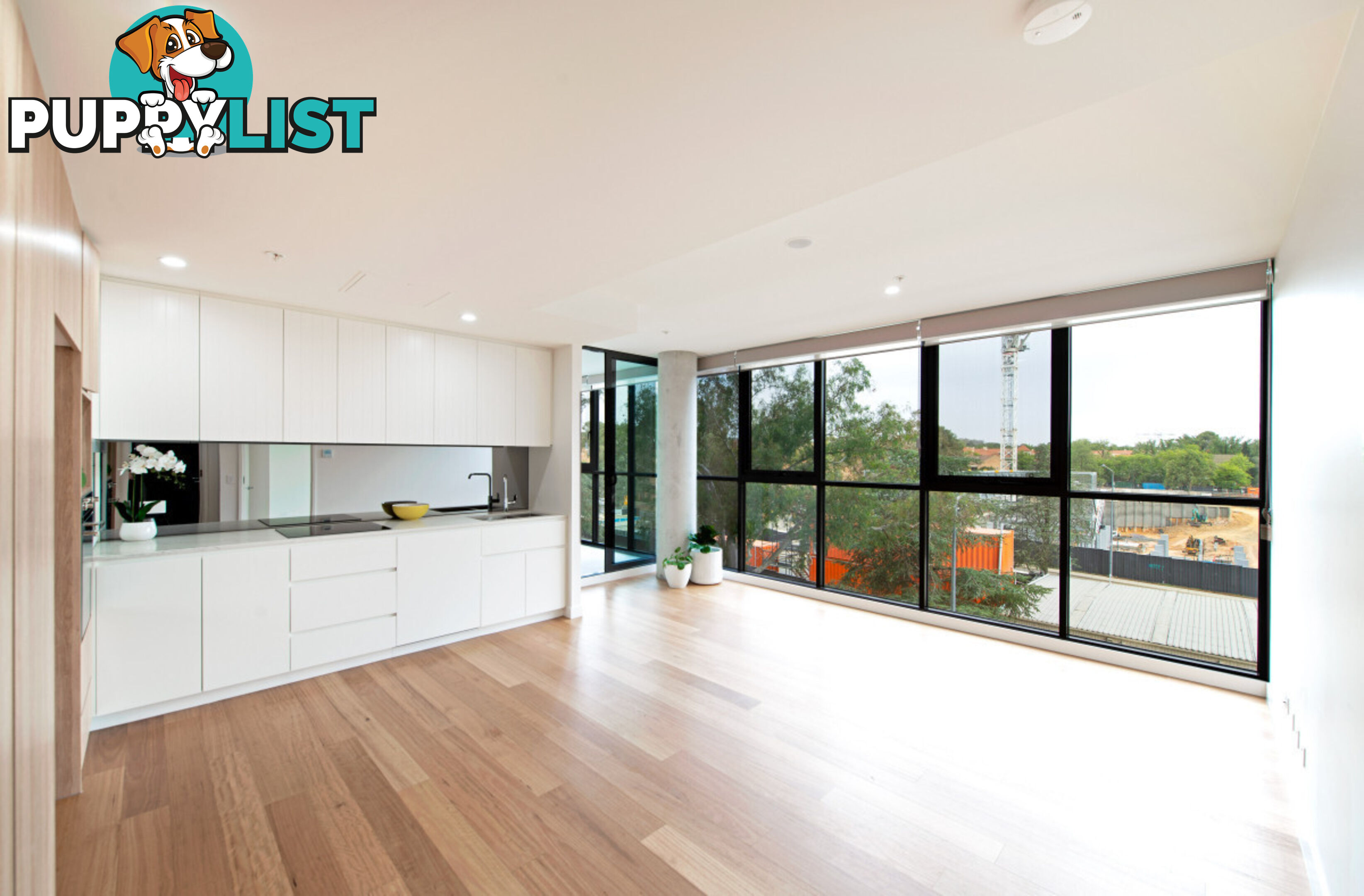 221/45 Ainslie Avenue BRADDON ACT 2612
