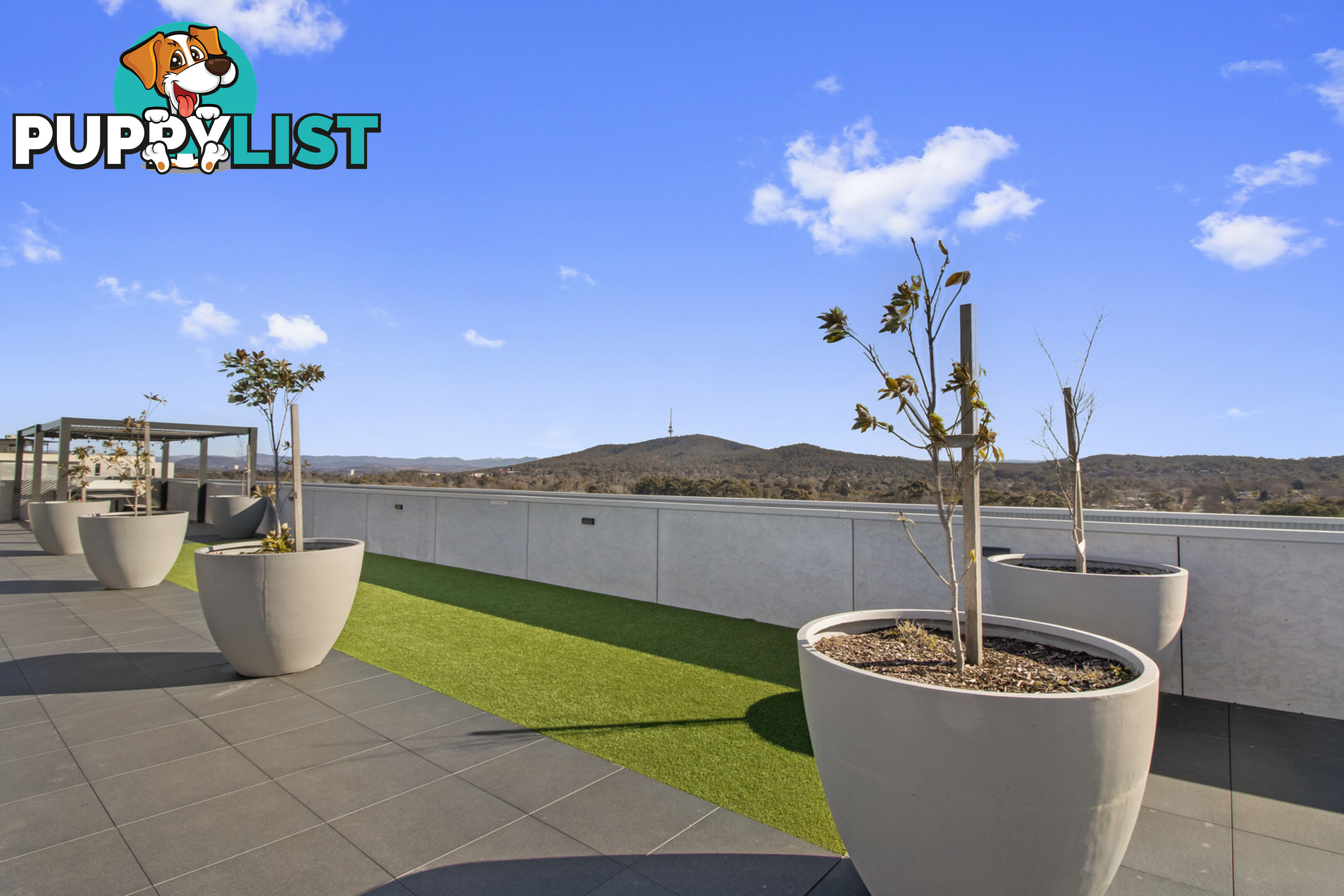 105/253 Northbourne Avenue LYNEHAM ACT 2602