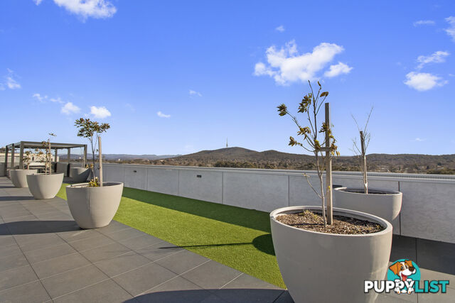 105/253 Northbourne Avenue LYNEHAM ACT 2602