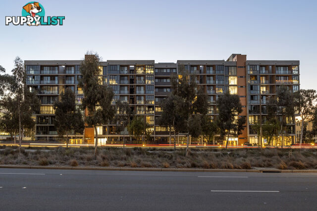 105/253 Northbourne Avenue LYNEHAM ACT 2602