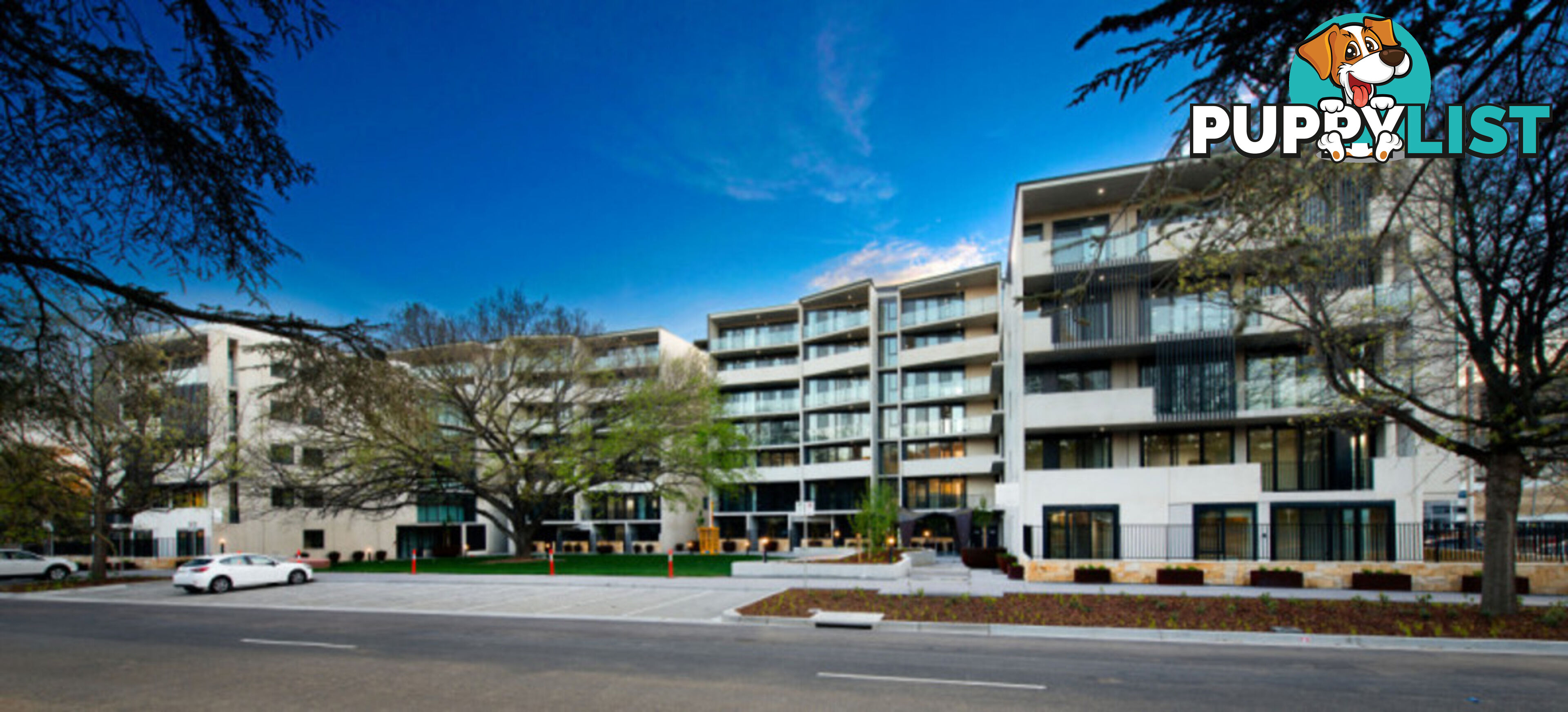 411/47 Currong Street North BRADDON ACT 2612