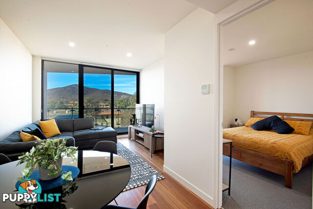 411/47 Currong Street North BRADDON ACT 2612