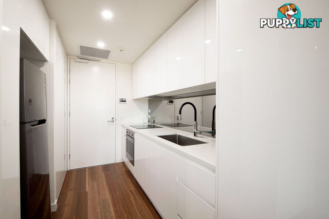 411/47 Currong Street North BRADDON ACT 2612