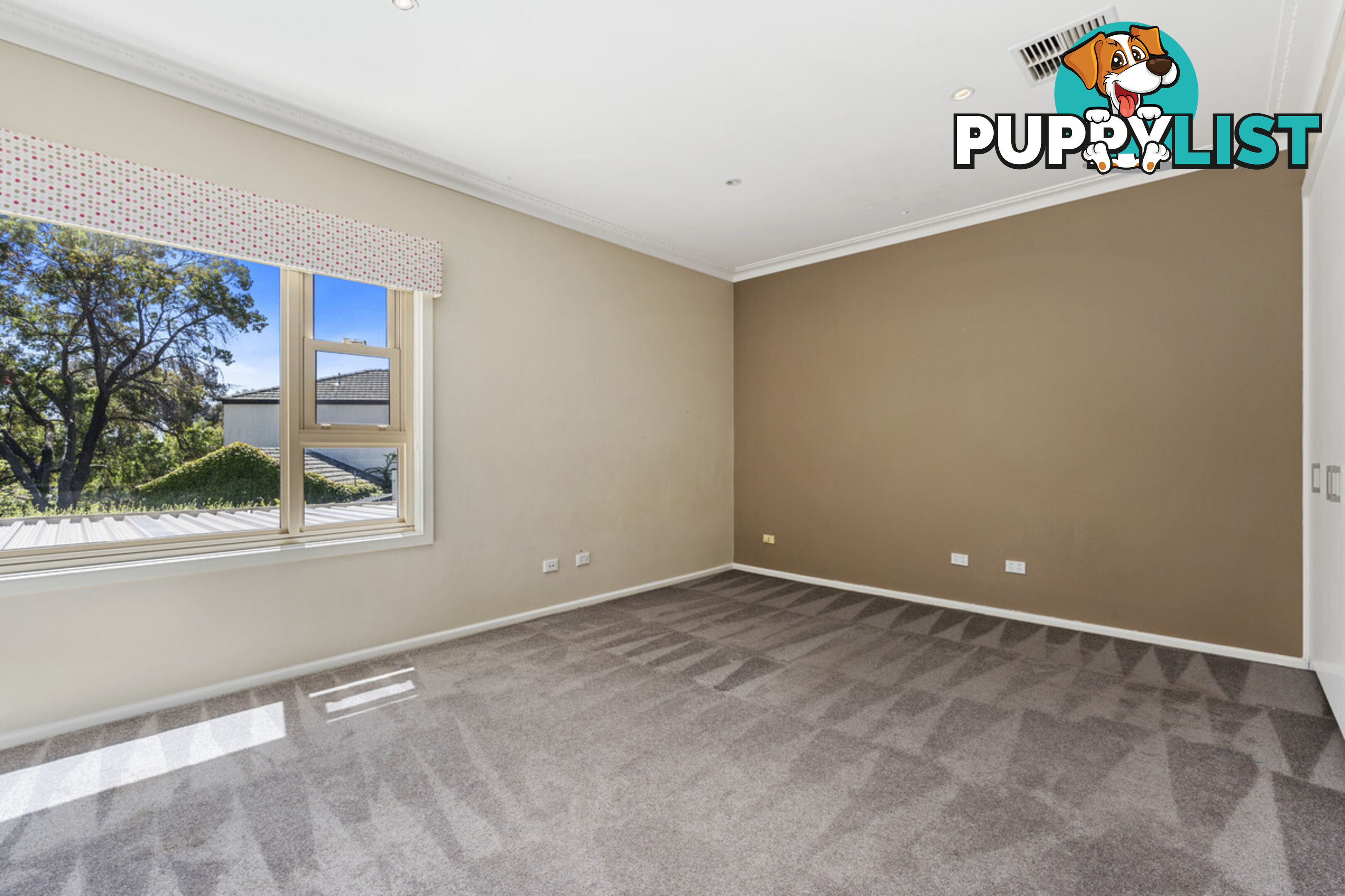 3 Borrowdale Street RED HILL ACT 2603
