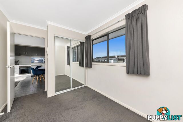 51/60 John Gorton Drive COOMBS ACT 2611