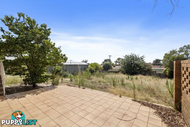 53 Springvale Drive WEETANGERA ACT 2614