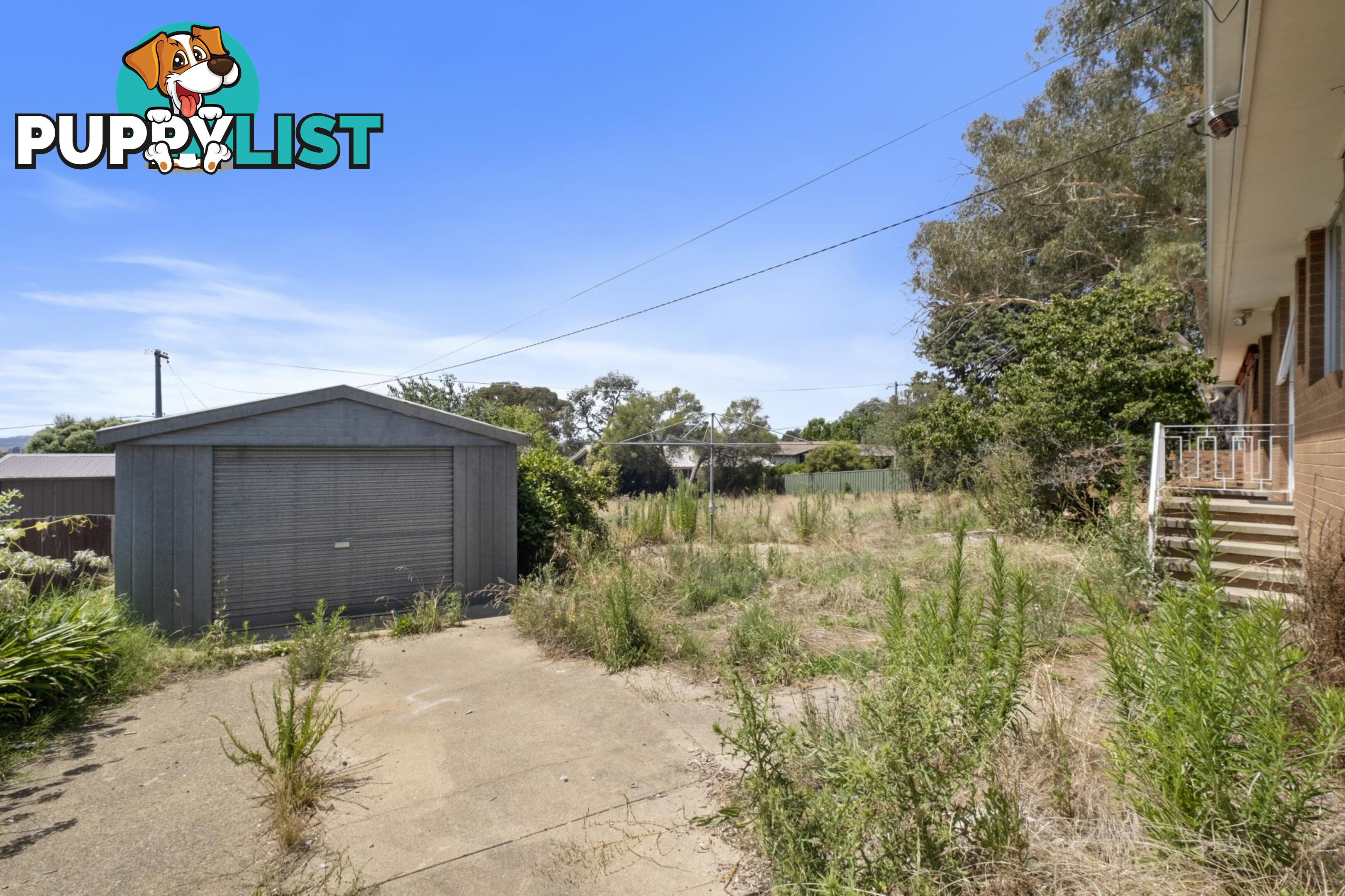 53 Springvale Drive WEETANGERA ACT 2614