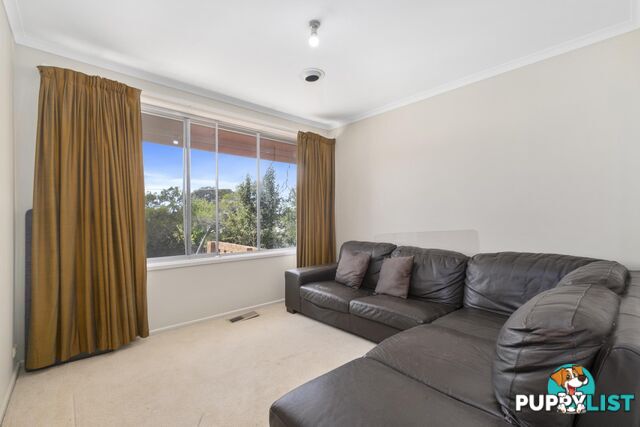 53 Springvale Drive WEETANGERA ACT 2614